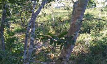 Imagem: Chácara no condomínio paraíso das Taquaras