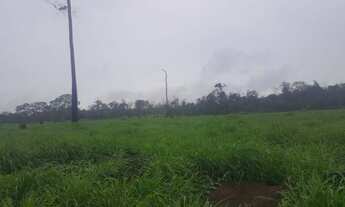 Imagem 2: Fazenda de 900 hectares Rorainópolis. ler descrição do anuncio