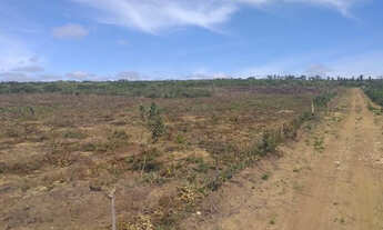 Imagem 4: Terreno de 20.000m2 no Povoado da Choça (8Km do Anel Viario