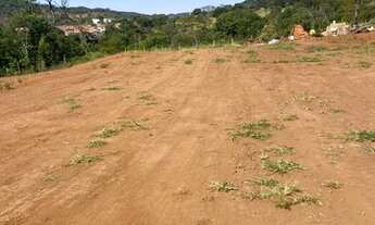 Imagem 2: Terreno caminho de cora