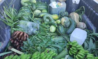 Imagem 7: Fazenda na região de Rosário oeste