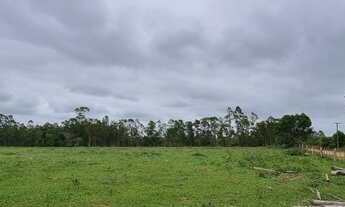 Imagem 2: Sítio 12 hectares em Águas claras, Viamão com duas casas, galpão e açude