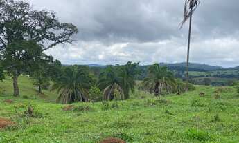 Imagem 5: 16 alqueires em Neropolis-Go