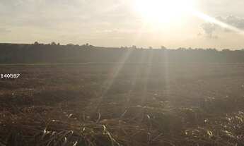 Imagem 6: Fazenda de 62 Alqueires em Porto Feliz - SP