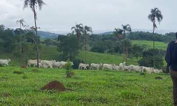 Imagem: 16 alqueires em Neropolis-Go