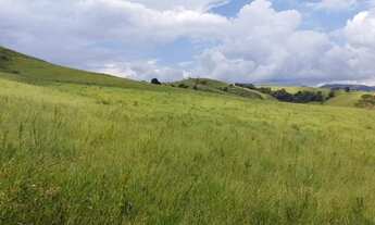 Imagem 5: Lote/Terreno para venda tem 24200 metros quadrados em Centro - Bueno Brandão - MG