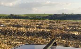 Imagem 4: Fazenda de 62 Alqueires em Porto Feliz - SP