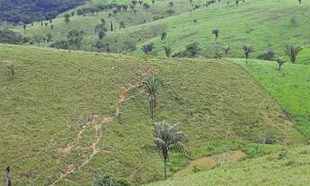 Imagem 2: Fazenda 42 alqueiro