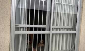 Imagem 7: Alugo apartamento no Alegro