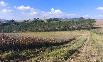 Imagem 2: Lotes de 500m² Terreno / lote com venda por R$60.000