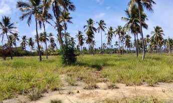 Imagem: Vende-se Terreno em São José da Coroa