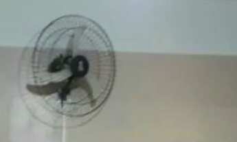 Imagem: Ambiente Preparado P/Estudo/Trabalho (250m