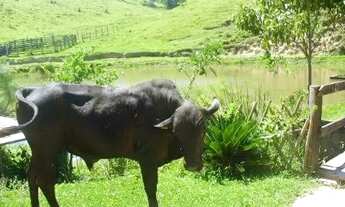 Imagem 2: Casa - Joaquim Egídio - Campinas