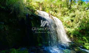 Imagem 2: OPORTUNIDADE SÍTIO COM CACHOEIRA EM CANELA!