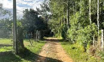 Imagem 2: TERRENO 17X36 (IDEAL PARA FAZER SEU SÍTIO DE LAZER) MORUNGAVA-RS