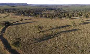 Imagem 7: Fazenda com 100 alqueires em Itatinga - SP (Nogueira Imóveis Rurais