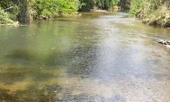 Imagem: Vendo fazendo próxima de Cocalzinho GO