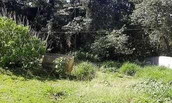 Imagem 6: Oportunidade chácara para renda ou clinicas