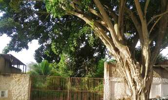 Imagem 3: Terreno 10x40 muito bem localizado