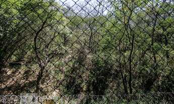 Imagem 7: Apartamento para Aluguel - Vila Isabel, 3 Quartos, 80 m2