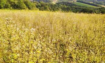 Imagem 7: TERRENO COM FÁCIL ACESSO Á VENDA