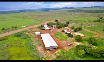Imagem: Fazenda à venda na região do município