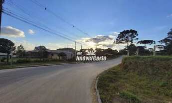 Imagem 5: Terreno à venda, 67146 m² por R$ 3.500.000,00 - Colônia Faria - Colombo/PR