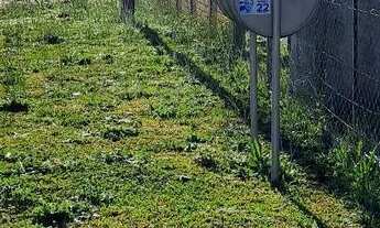 Imagem 5: Alugo barracão Galpão / depósito com 5 vagas na garagem