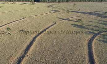 Imagem 5: Fazenda com 100 alqueires em Itatinga - SP (Nogueira Imóveis Rurais
