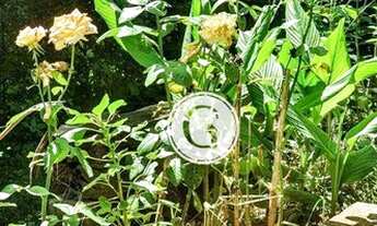 Imagem 7: Casa com 5 Suítes à venda, 850 m² por R$ 4.100.000 - Granja Viana - Carapicuíba/SP