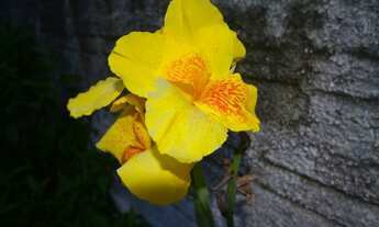 Imagem 7: Mini kit Quarto com aluguel por R$950 /mês