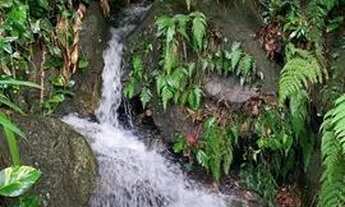 Imagem 4: Joa Casa em condomínio com 4 dormitórios