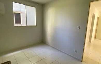 Imagem 5: Paradiso Anturio