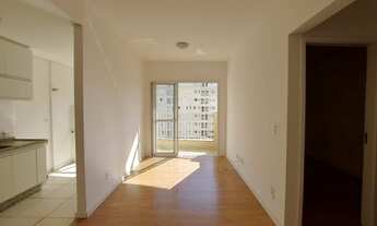 Imagem 4: Locação - Apartamento - Centro - Americana - SP