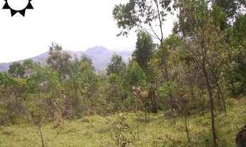 Imagem 3: ÁREA SANTANA DE PARNAÍBA