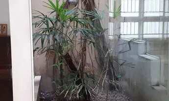 Imagem 6: Casa à Venda - Tatuapé, 3 Quartos, 270 m2