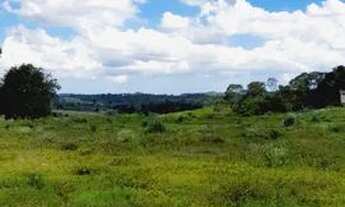 Imagem 3: CONSTRUA SUA FELICIDADE: TERRENOS DE 1000m² EM MADRI - MAIRINQUE ESPERAM POR SUA VISITA