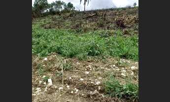 Imagem 4: Chácara de 5.000 m2