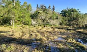 Imagem 10: Sítio Plano E Com Nascente Para Fazer Açude. ROB:842