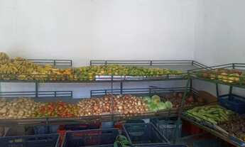 Imagem 5: Casa com lojas e garagem