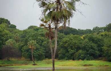 Imagem: Loteamento Reserva Camará a 7 km do Centro