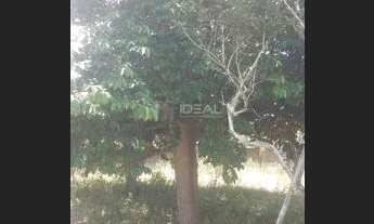 Imagem 4: Chácara com árvores frutíferas e casa aconchegante - 1.260m²