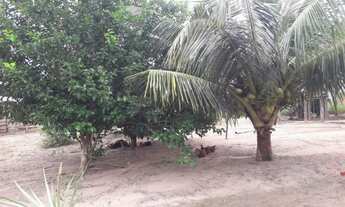 Imagem 4: Vendo sitio em Castanhal