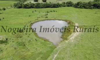 Imagem 14: Fazenda em Itapetininga, rica em água (Nogueira Imóveis Rurais