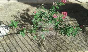 Imagem 5: Casa a venda no bairro Jd Sao Pedro em Americana-SP