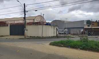 Imagem 2: Alugo lote com estufa para cultivo de flores e plantas