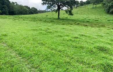 Imagem 2: LP- Vendo terreno com entrada baixa