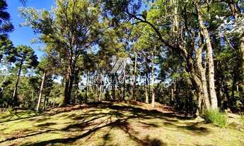 Imagem 7: OPORTUNIDADE SÍTIO COM CACHOEIRA EM CANELA!