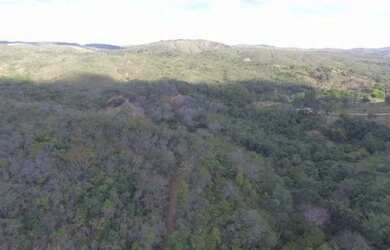 Imagem 5: Fazenda 120 ha, córrego grande, três nascentes, duas lagoas, casa antiga, Jaboticatubas