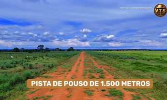 Imagem 3: FAZENDA PLANA GADO SOJA MILHO ALTO PADRÃO
